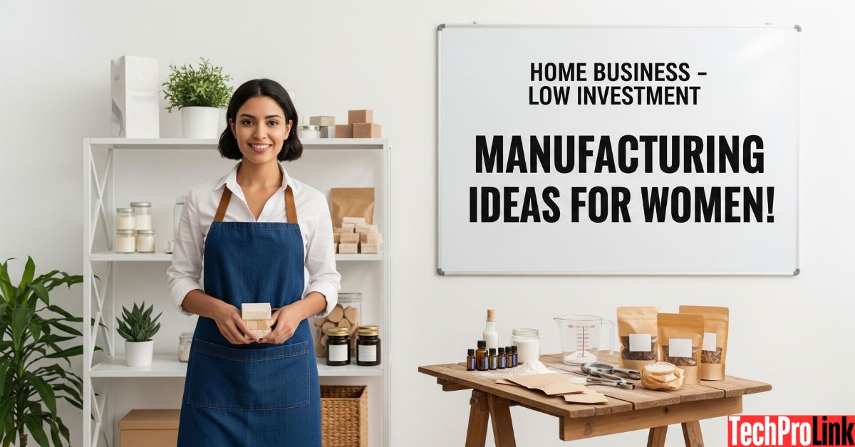 Manufacturing Business for Ladies Sitting at Home